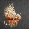 Brown Caddis