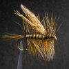 Highland Emerger