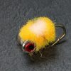 Yellow Dumbell Glowbug