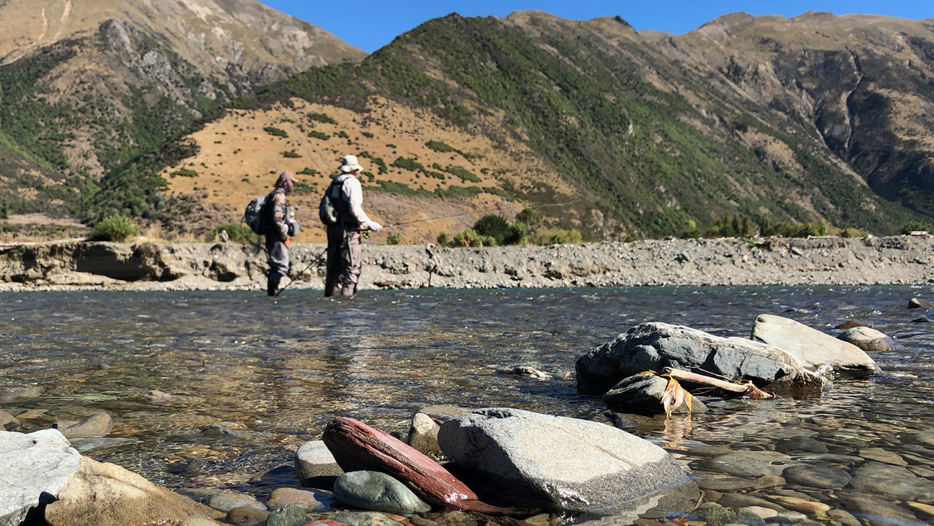 Fly fisher casting to a wild brown trout on a Southland river